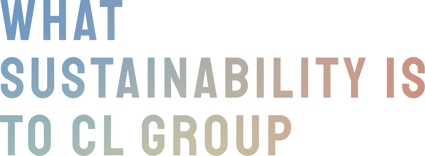 WHAT SUSTAINABILITY IS TO CL HOLDINGS